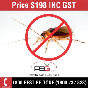 Cockroaches $198