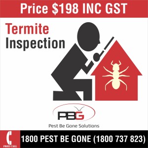 Termite Inspection $198